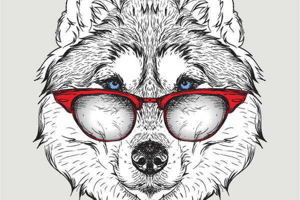 时尚狗狗裁片印花服装，打造独特个性风格