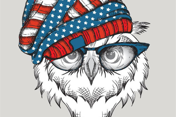 创意美国国旗鹰头裁片印花服装设计