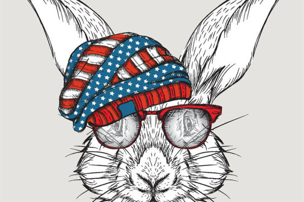 美国国旗兔子裁片印花服装,时尚爱国风潮