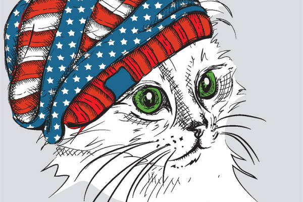 时尚爱国风裁片印花服装：美国国旗猫咪图案