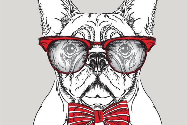 时尚法斗犬裁片印花服装印花设计