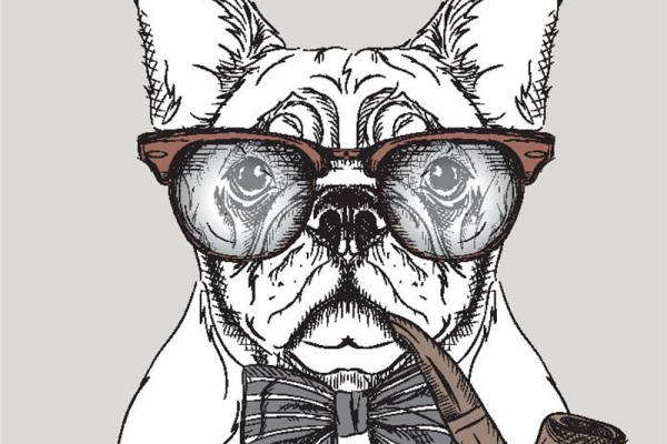 时尚萌宠裁片印花服装：趣味法斗犬图案印花T恤