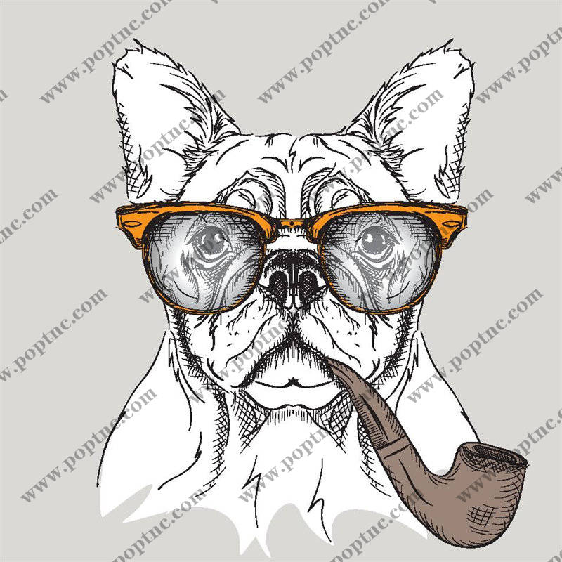 时尚狗狗裁片印花服装,打造个性宠物服饰