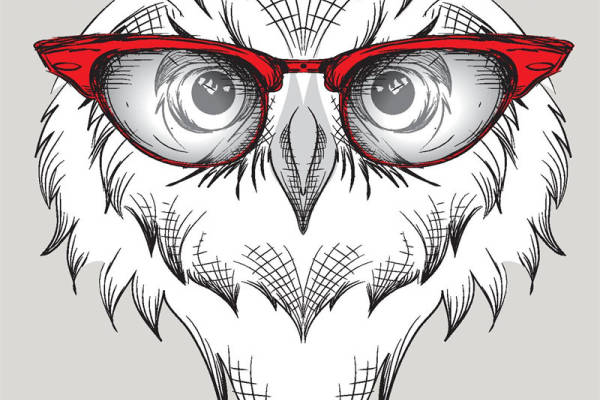 时尚猫头鹰裁片印花服装，独特眼镜设计，潮流街头风格