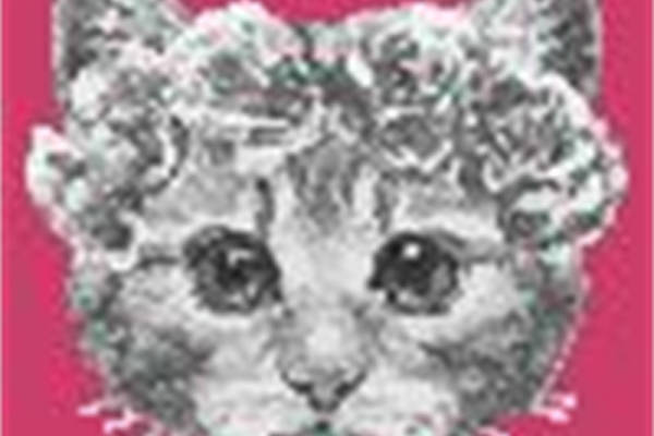 独特猫脸裁片印花服装，展现个性时尚风格