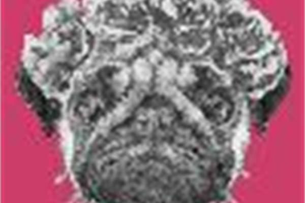 时尚粉色背景上的抽象黑白狮子头裁片印花服装