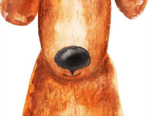 可爱卡通狗裁片印花服装，时尚休闲风格设计