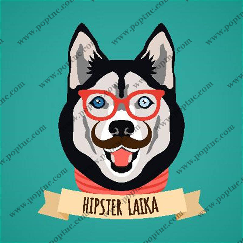 时尚狗狗裁片印花服装,打造独特个性宠物服饰