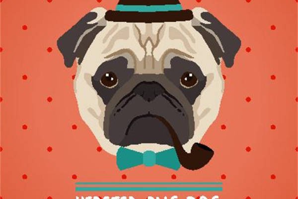 时尚哈巴狗裁片印花服装：打造个性潮流风格