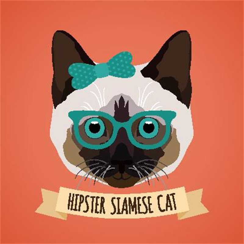 时尚暹罗猫裁片印花服装，打造个性潮流风格