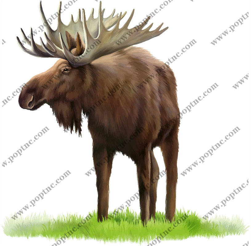 自然风格麋鹿裁片印花服装印花设计