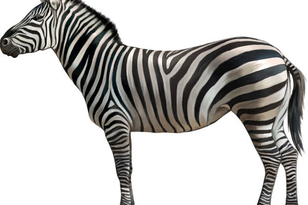 时尚斑马纹裁片印花服装印花设计