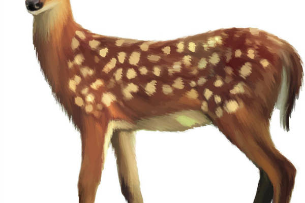 时尚自然风鹿纹裁片印花服装印花设计