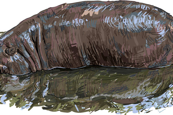 时尚动物纹理裁片印花服装印花设计