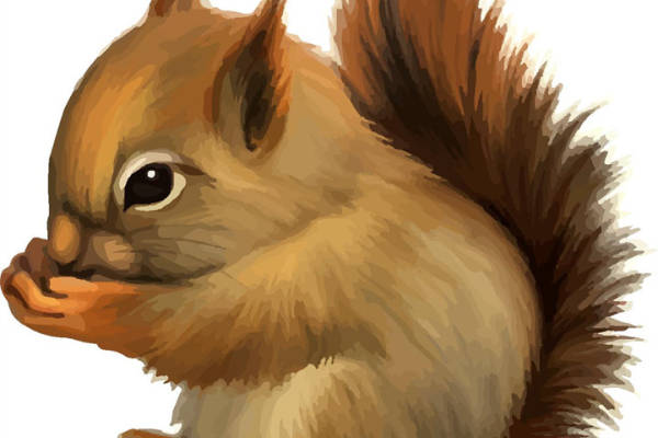 可爱松鼠裁片印花服装设计，自然风格服装印花图案