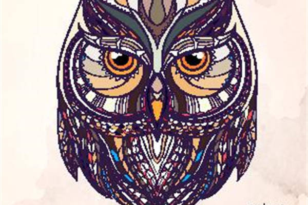 民族风猫头鹰裁片印花服装 独特图案设计