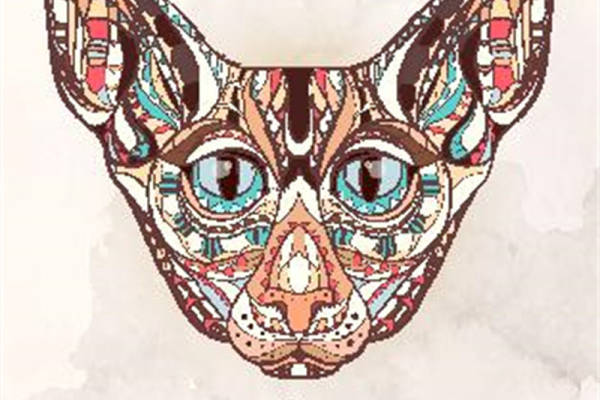 民族风猫头鹰裁片印花服装 独特设计时尚服装印花