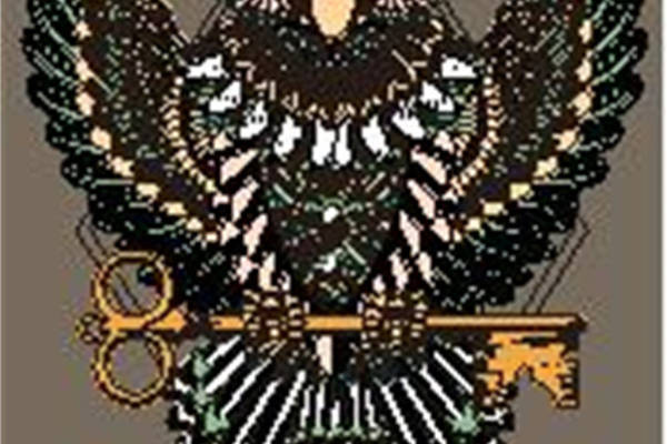 独特猫头鹰裁片印花服装:时尚与艺术的完美融合