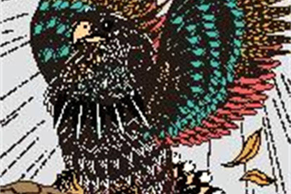 孔雀羽毛裁片印花服装 展现自然之美的时尚选择