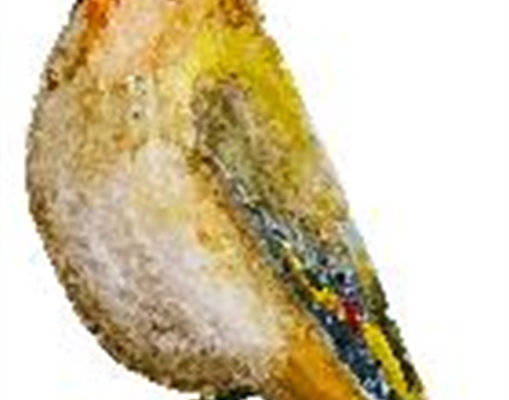 多彩小鸟裁片印花服装,自然风格服装印花设计