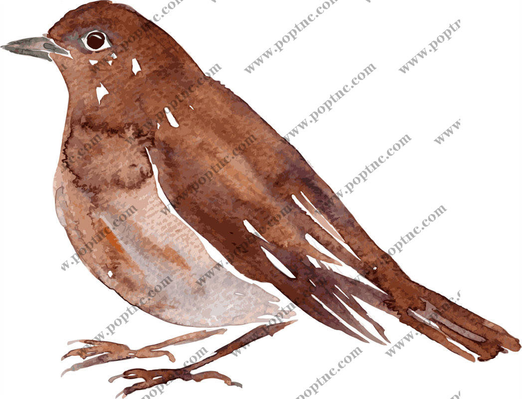 自然灵感:棕色小鸟裁片印花服装设计