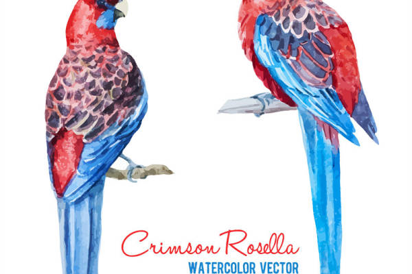 时尚水彩风格裁片印花服装印花设计,适用于春夏季节