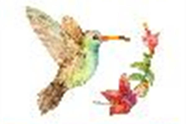 自然风格花卉鸟类裁片印花服装印花设计