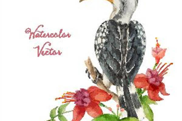 时尚水彩风格鸟类裁片印花服装印花设计