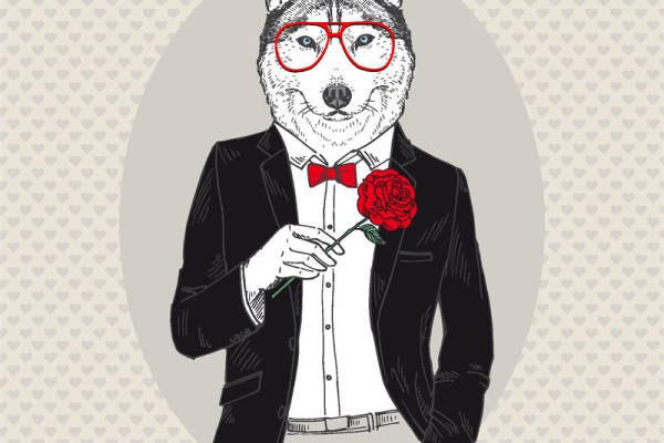 时尚动物裁片印花服装：情人节特别版