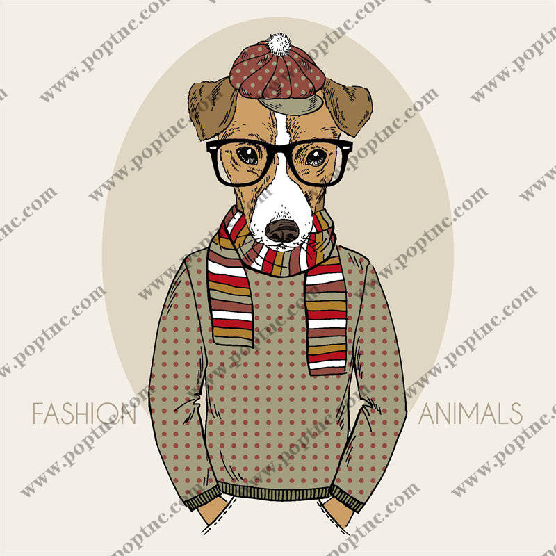 时尚动物裁片印花服装:狗狗的冬季温暖搭配