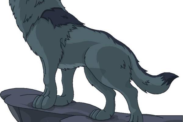 时尚狼图腾裁片印花服装印花设计