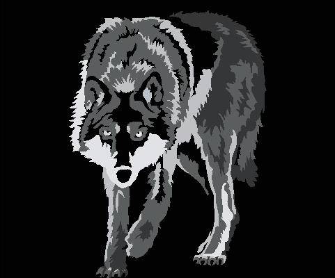 时尚潮流灰白狼头裁片印花服装，展现个性魅力