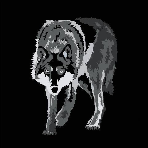 时尚潮流灰白狼头裁片印花服装,展现个性魅力