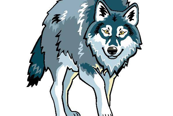 时尚灰色狼图案裁片印花服装印花设计