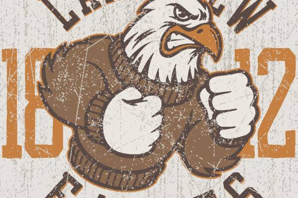 Lakeview 1982 Eagles 复古风格裁片印花服装