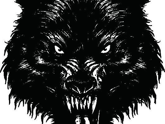 野性之美：狼头图案裁片印花服装印花设计