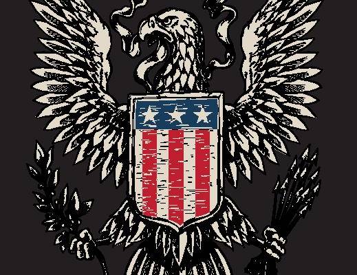 复古风格美国国旗鹰裁片印花服装印花设计