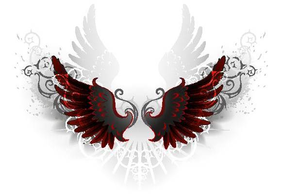 时尚红黑天鹅裁片印花服装,展现独特个性魅力