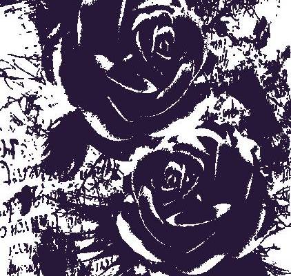 黑白抽象玫瑰裁片印花服装，展现独特艺术风格