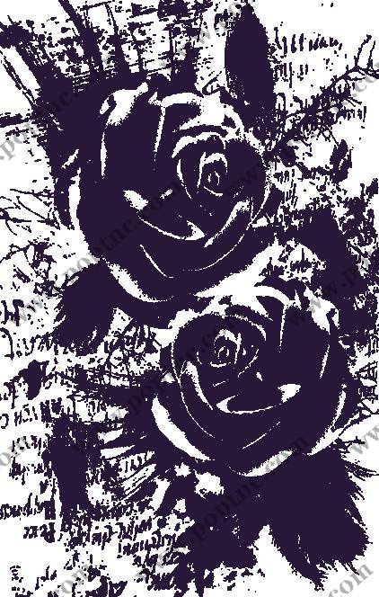 黑白抽象玫瑰裁片印花服装,展现独特艺术风格