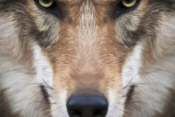 时尚艺术风狗脸裁片印花服装印花设计