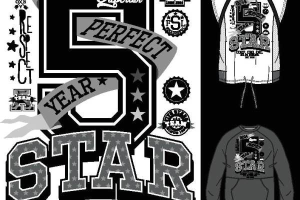 2014年完美之星裁片印花服装印花设计