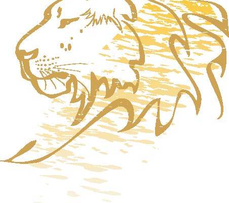 时尚金色狮子裁片印花服装，展现独特个性与风格