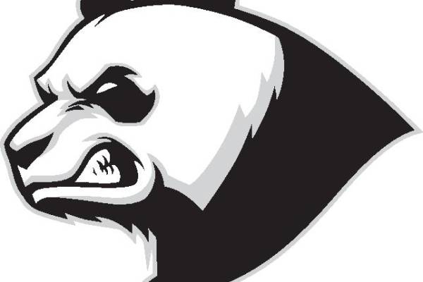 时尚熊猫头裁片印花服装，展现个性与活力的完美选择