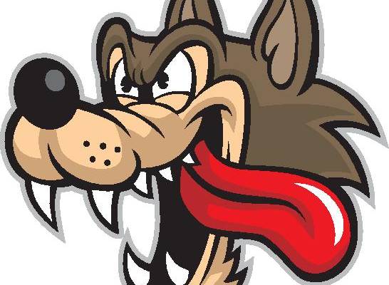 经典卡通角色裁片印花服装印花设计