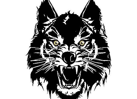 独特野性风格老虎头裁片印花服装印花设计