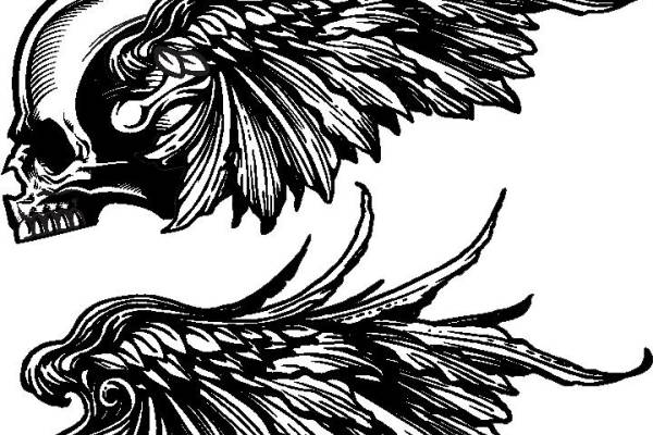 独特骷髅与羽毛裁片印花服装 个性街头风格