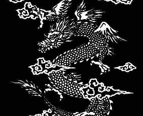 传统龙纹裁片印花服装，展现东方魅力的时尚选择