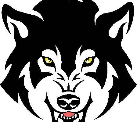 狼头图案裁片印花服装 野性风格街头潮流服饰