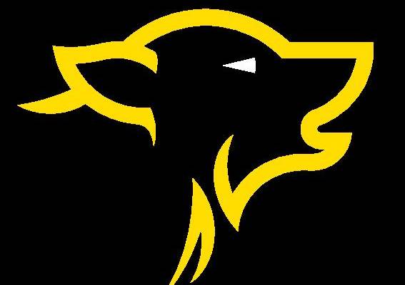 时尚潮流黑底黄豹头裁片印花服装